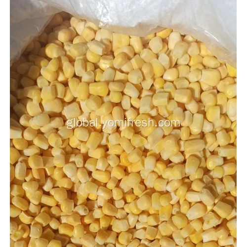 IQF Corn Kernel Frozen Sweet Corn Kernels Supplier